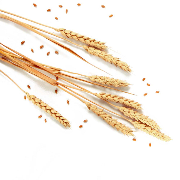 Azelaic Acid modal image