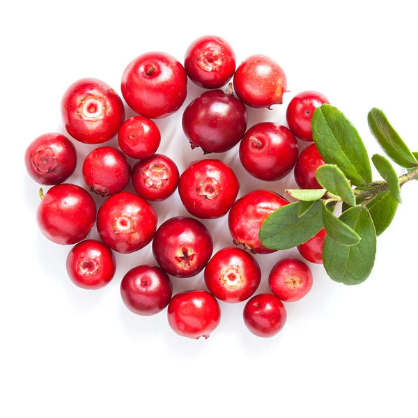 Alpha Arbutin modal image